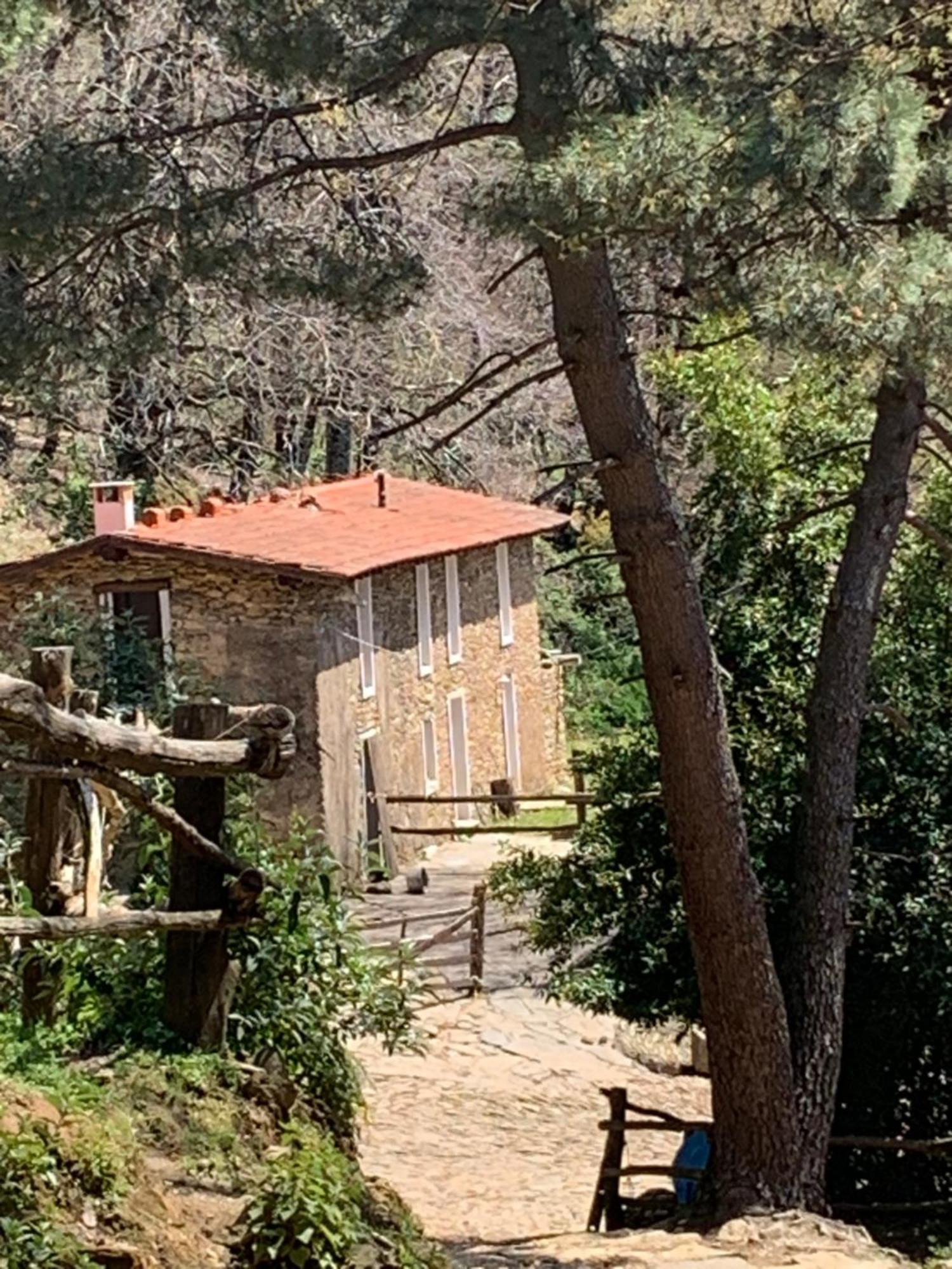 בית הארחה מאסה 	Centro Trekking A Cavallo Monte Brugiana מראה חיצוני תמונה